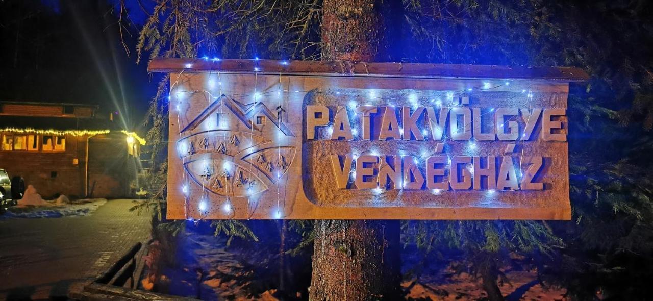Вілла Patakvoelgye Vendeghaz Ізвоаре Екстер'єр фото